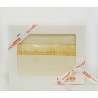 Coral Fleece Blanket Cream