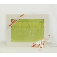 Coral Fleece Blanket Green